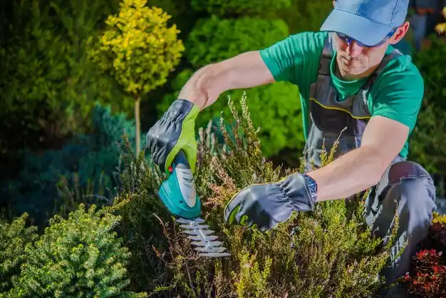 landscaping services Williamston